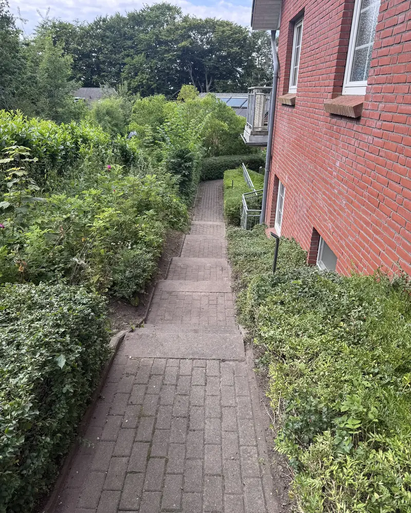 Gepflegter Weg zwischen geschnittenen Hecken an einer Wohnanlage
