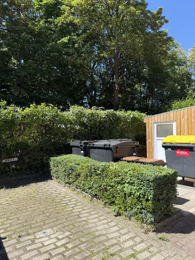 Nachher: in Form geschnittene Hecke, freier Mülltonnenplatz mit Tonnen