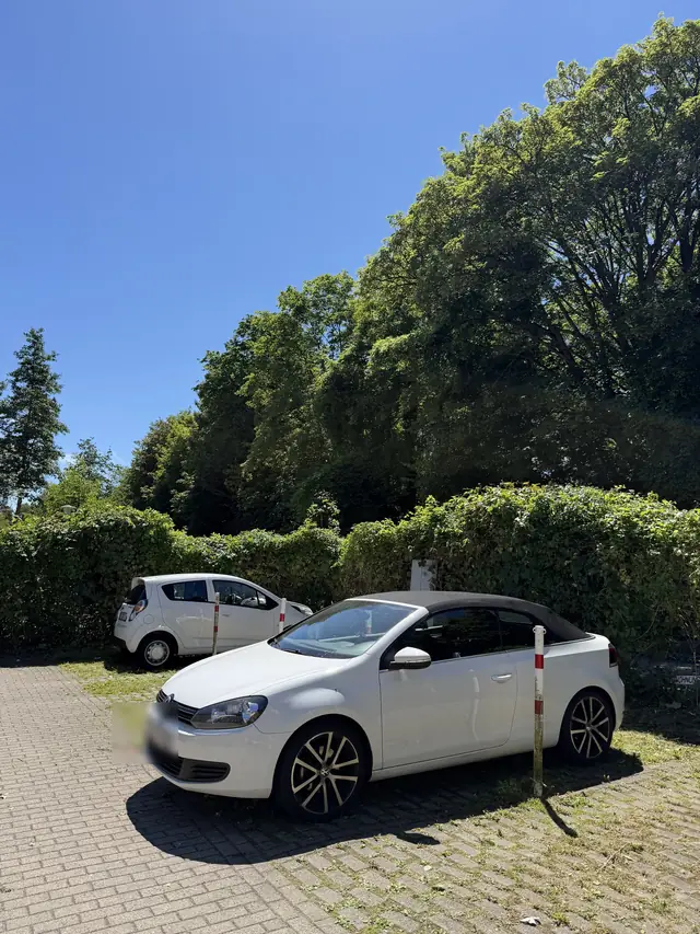 Nachher: zurückgeschnittene Hecken am Parkplatz der Wohnanlage