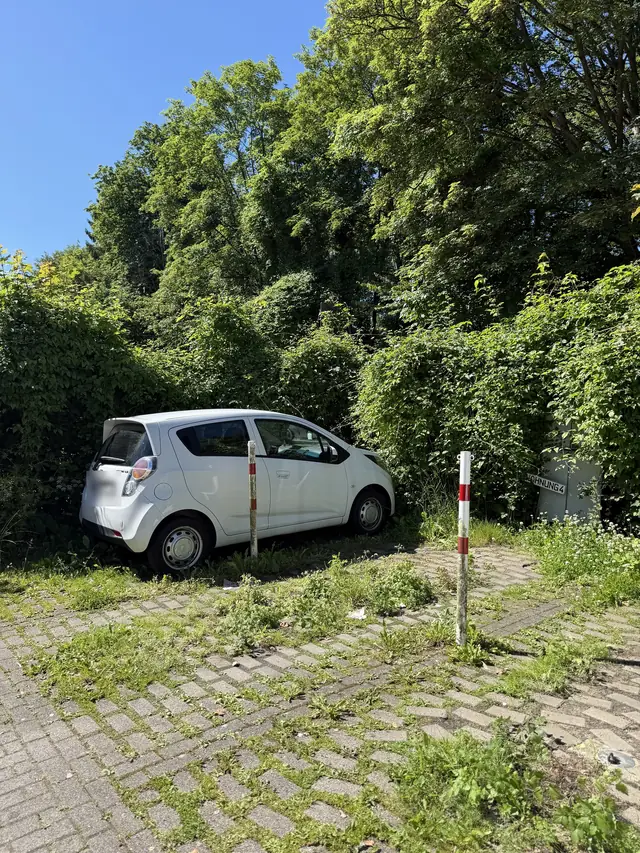 Vorher: zugewachsene Hecken und Unkraut am Parkplatz einer Wohnanlage