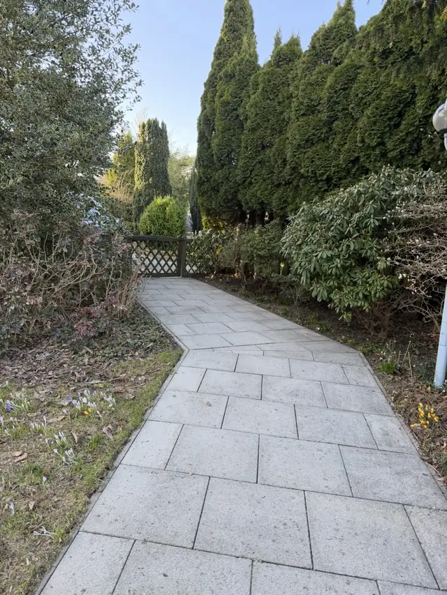 Nachher: gereinigter, heller Gartenweg aus Betonplatten